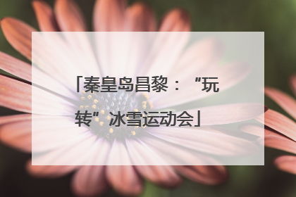秦皇岛昌黎：“玩转”冰雪运动会